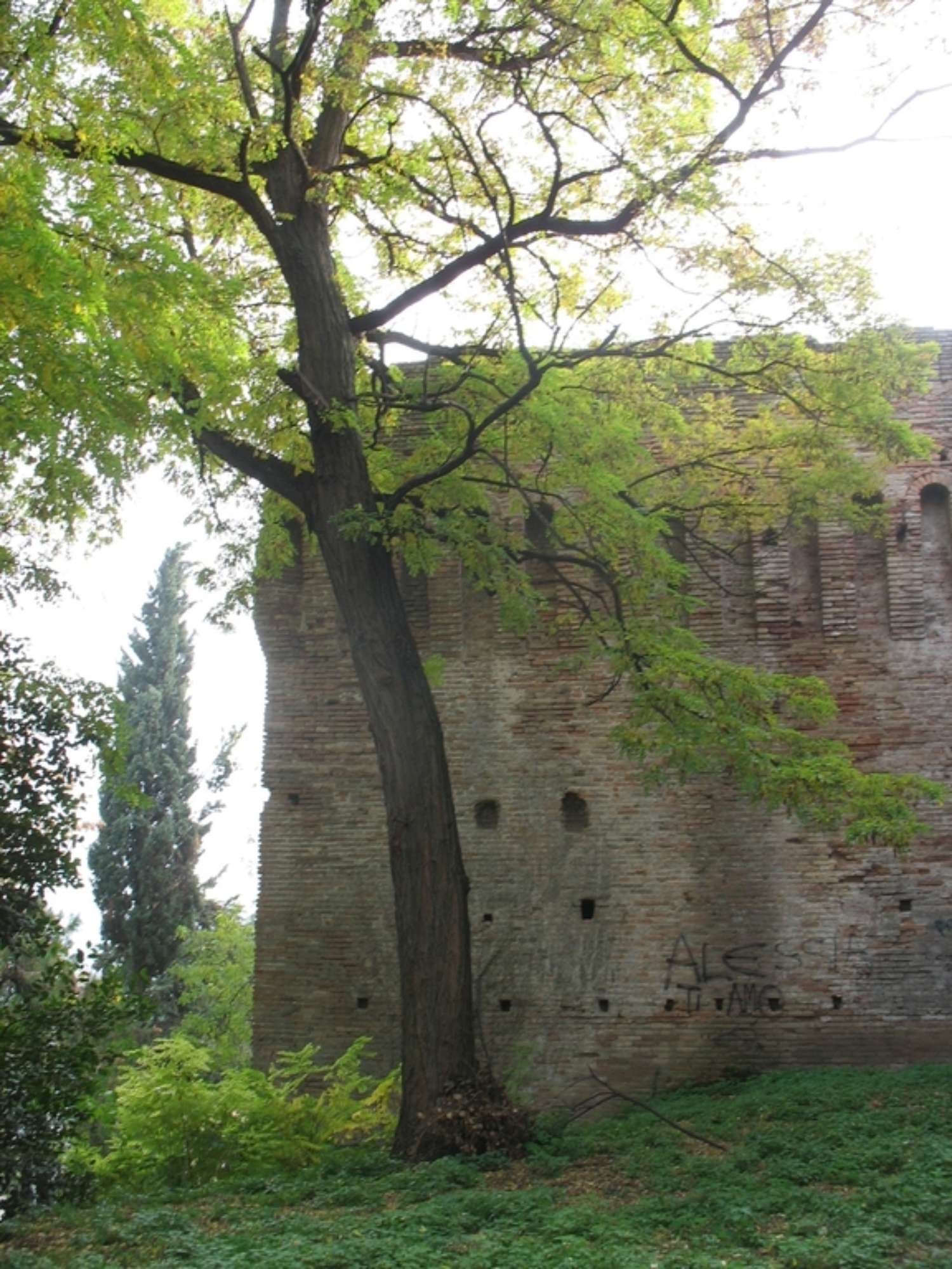 Rocca Malatestiana di Cesena, Archivio IBC
